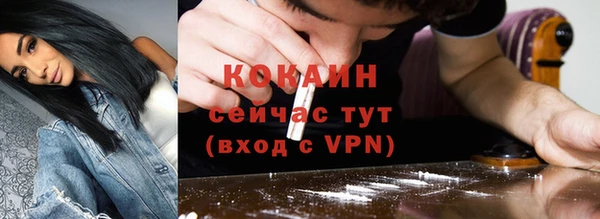 бошки Заводоуковск